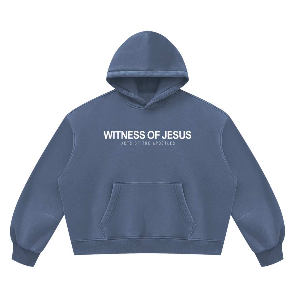 hoodie,witnessofjesus,vintage,wash,premium