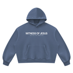hoodie,witnessofjesus,vintage,wash,premium