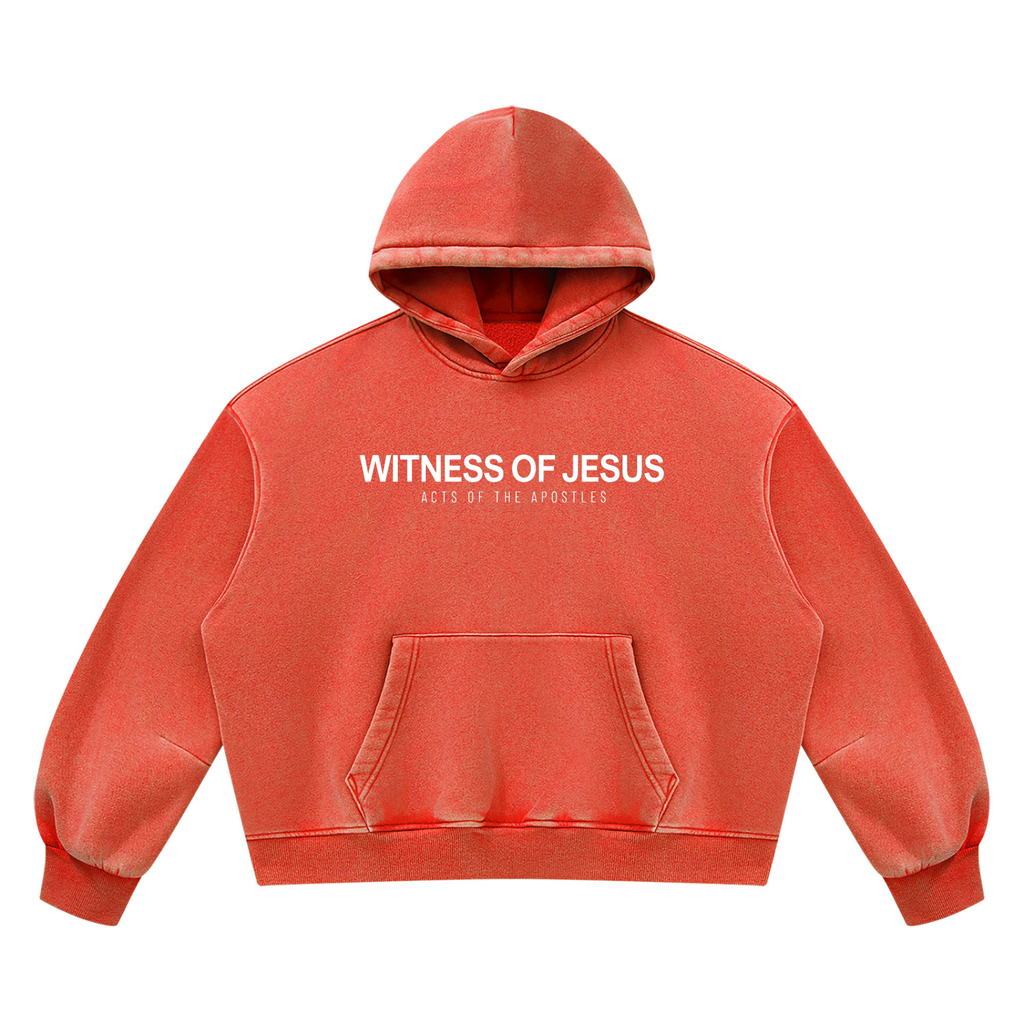 hoodie,witnessofjesus,vintage,wash,premium